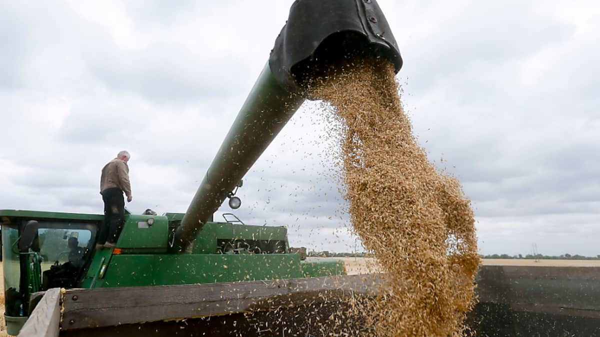 Les Prix Mondiaux Des Produits Alimentaires Continuent De D Cliner Pme