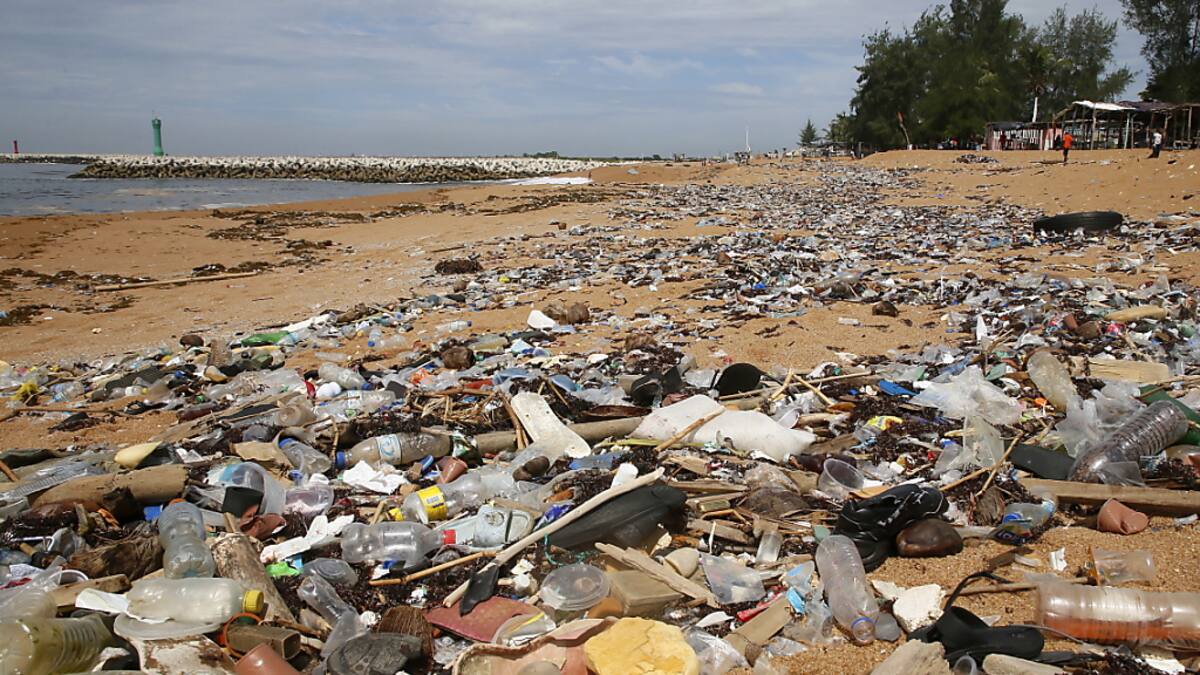 Coca Cola Et Nestl Parmi Les Plus Gros Pollueurs De Plastique Au Monde Pme